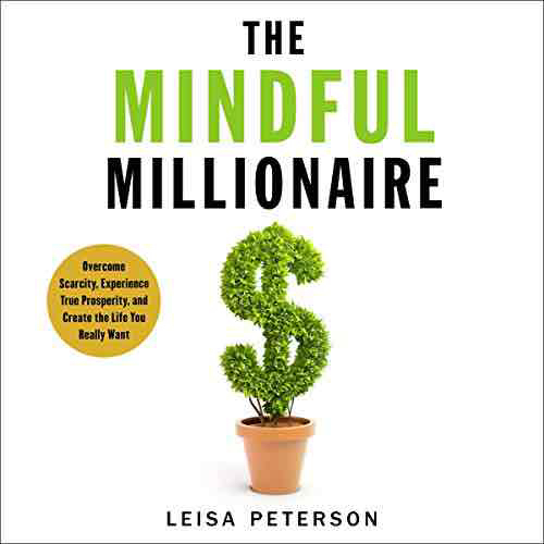 The Mindful Millionaire - Book Outlet