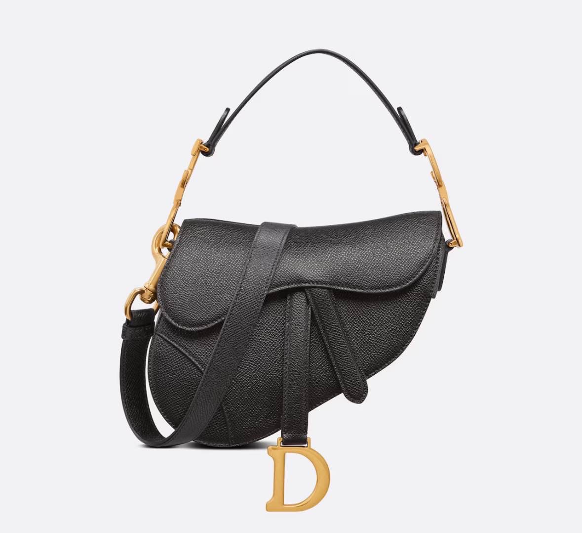 Dior Mini Saddle