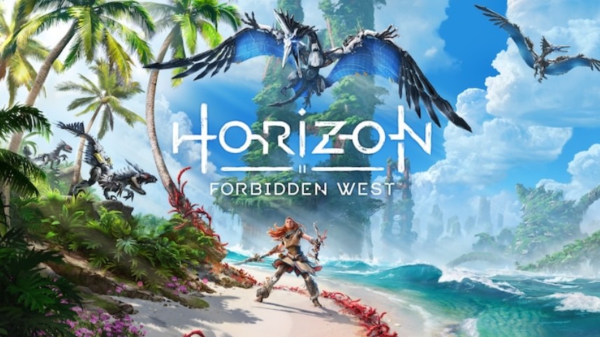 (A $60 gift card might be easiest) Horizon Forbidden West, PS4 Version