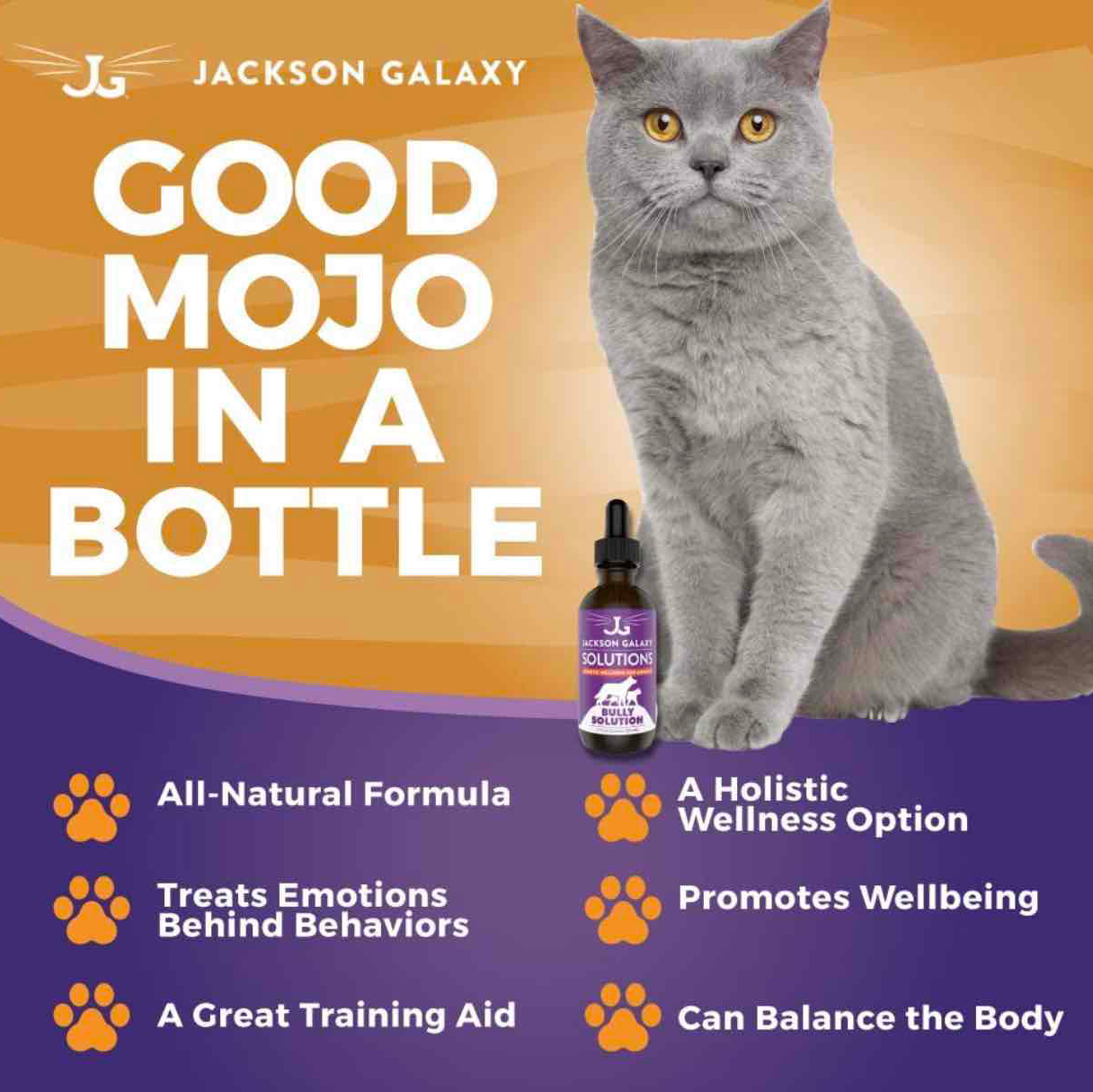 Jackson Galaxy: Bully Solution (2 oz.) - Pet Solution - Promotes Relaxation and Calmness - Can Support Bullying and Dominance - All-Natural Formula - Reiki Energy