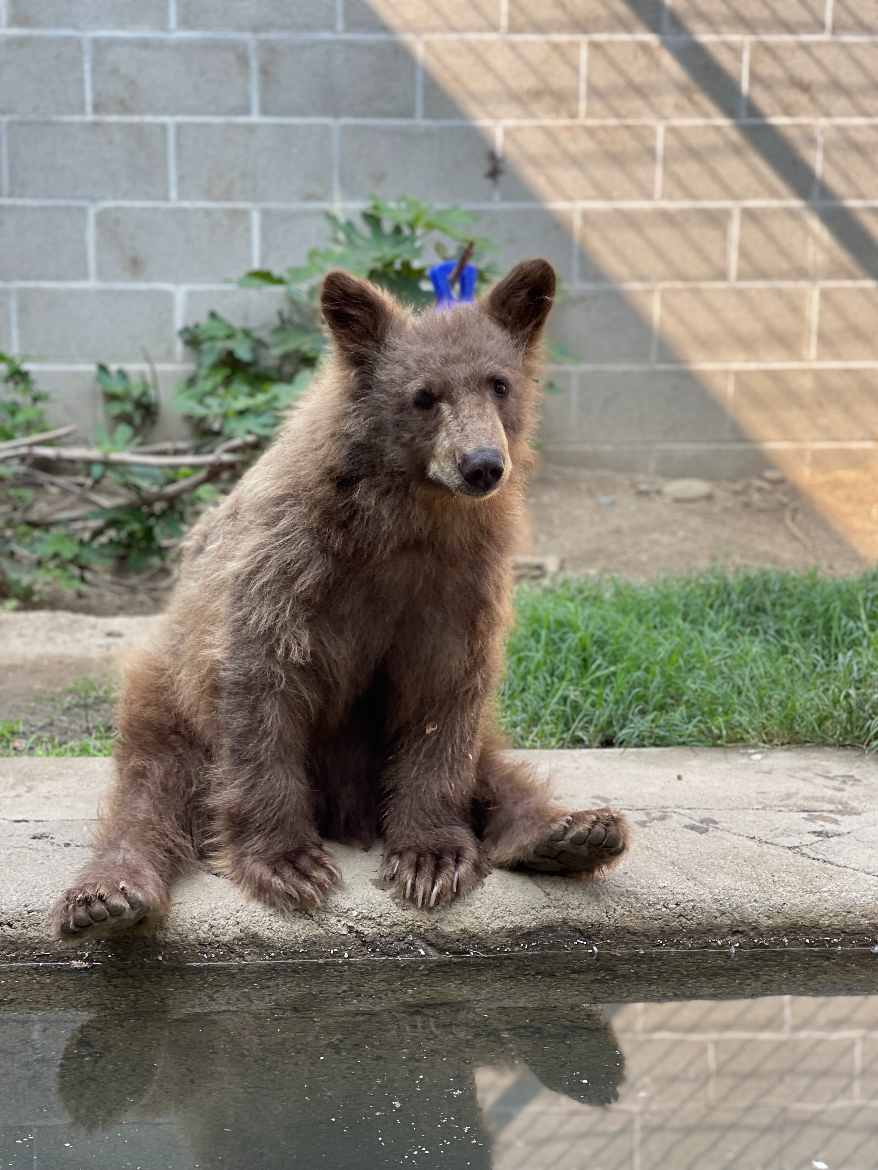 FolsomCityZooSanctuary