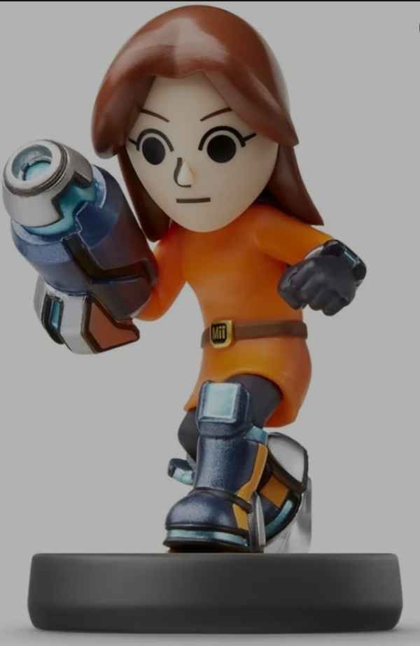 amiibo beschermer