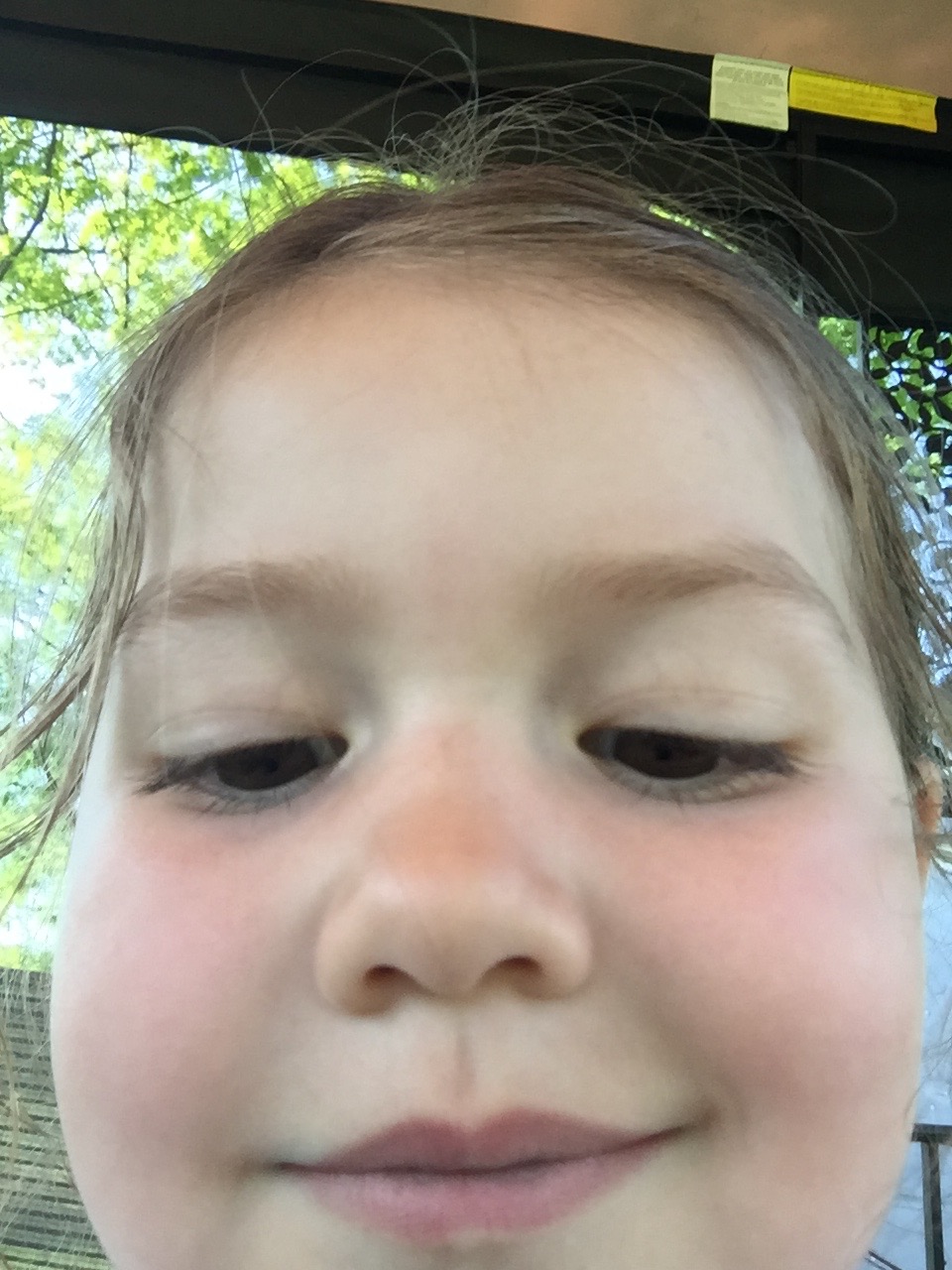 LYLA