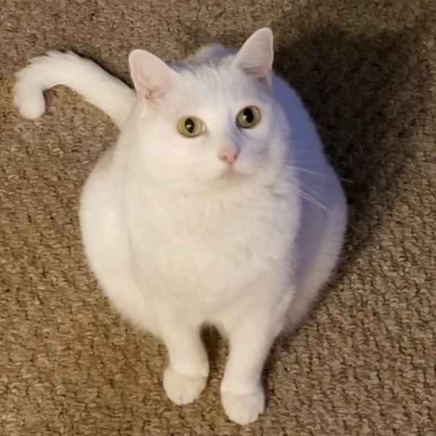 LizaJane