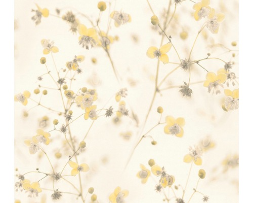 Wish from Photo
