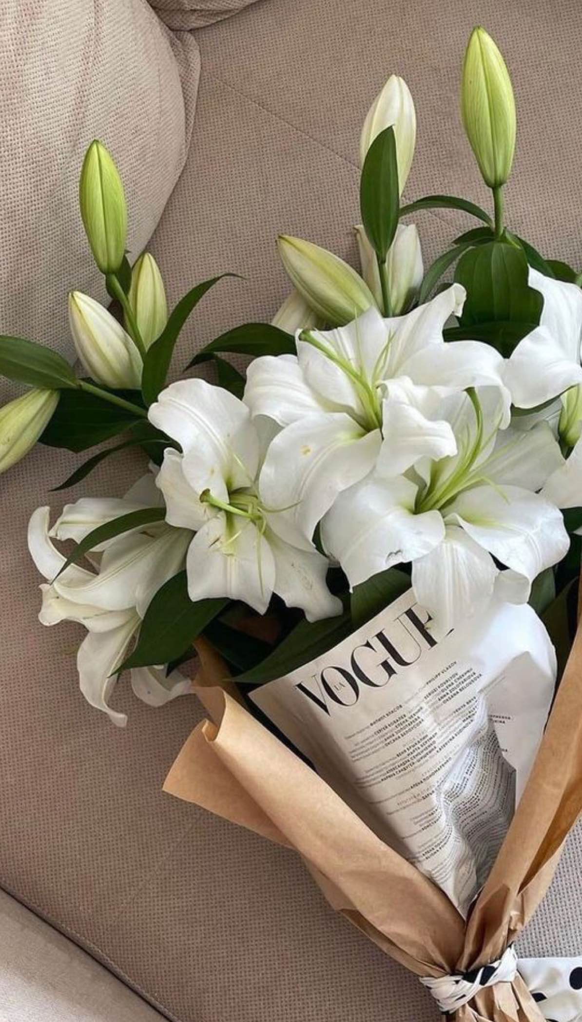 Lily flower