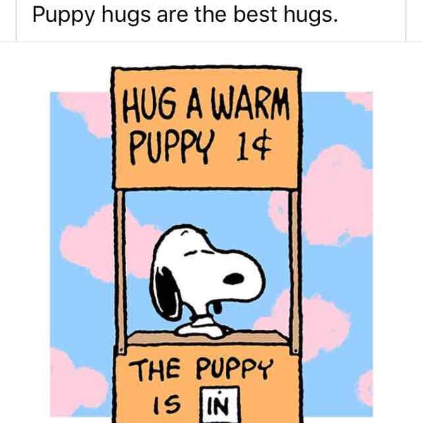 Warm puppy hugs