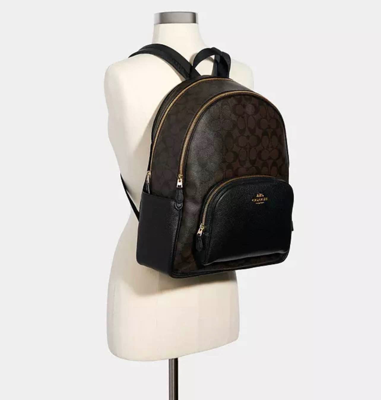 Large Court Backpack In Signature Canvas