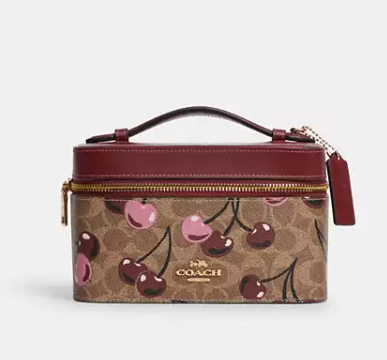 COACH Cosmetic Case