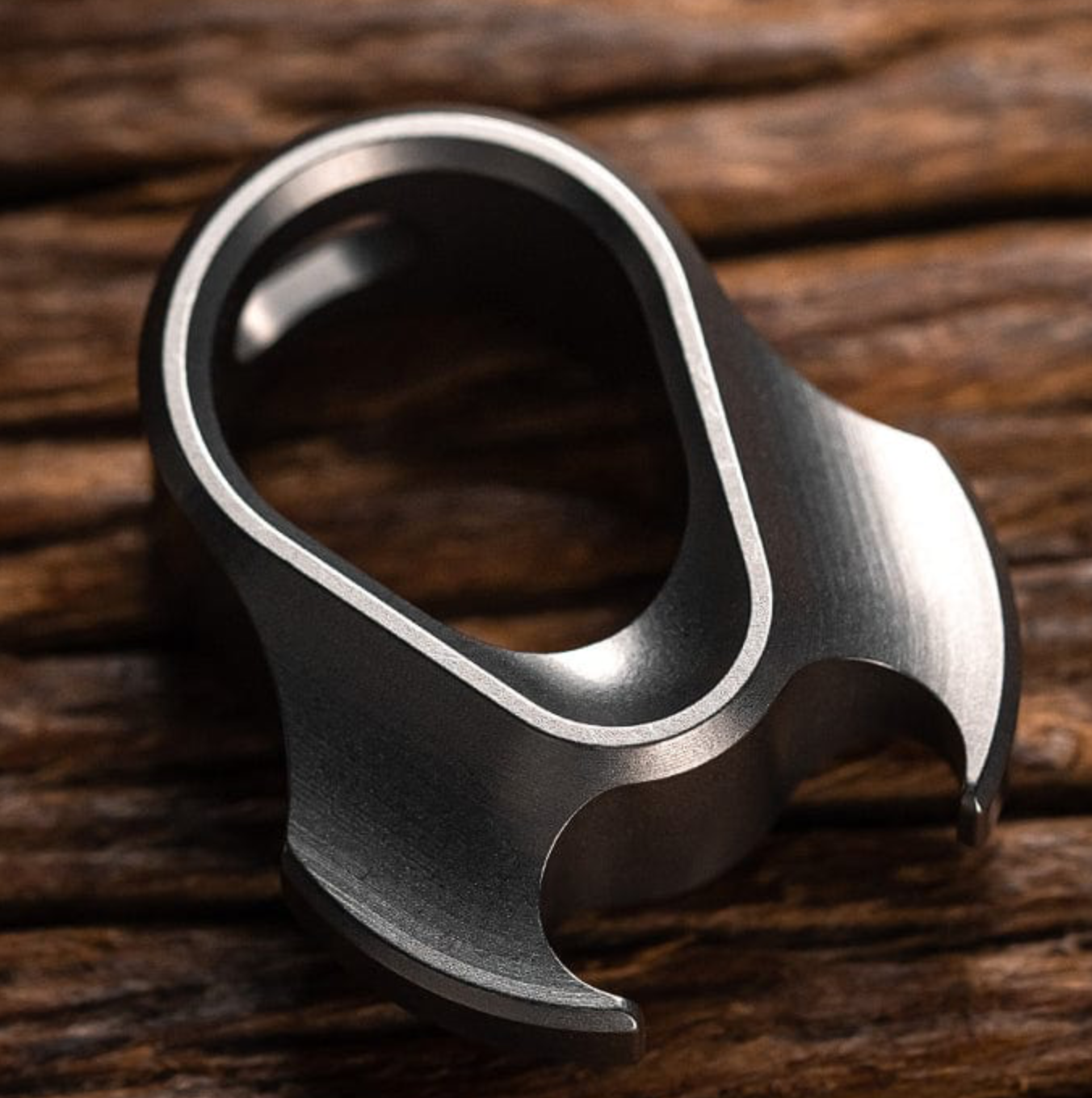 Toro pendant