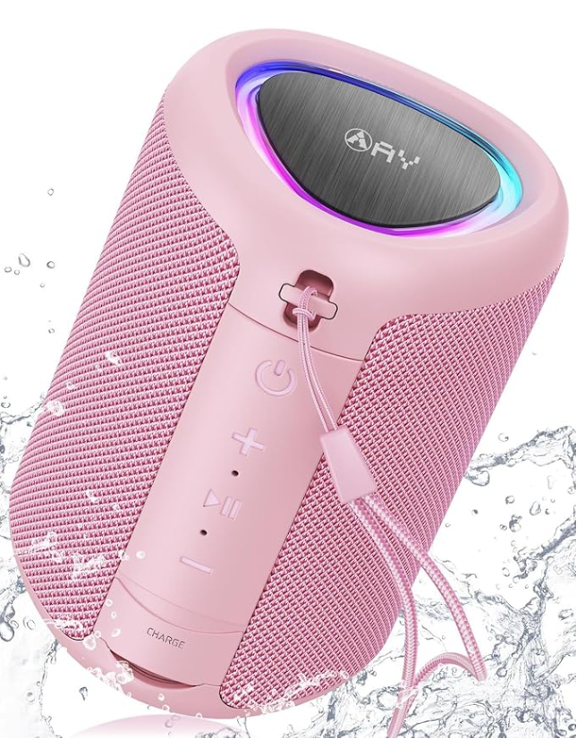 Portbale speaker