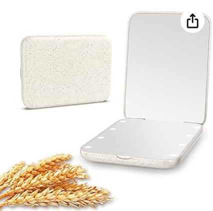 Portable mirror