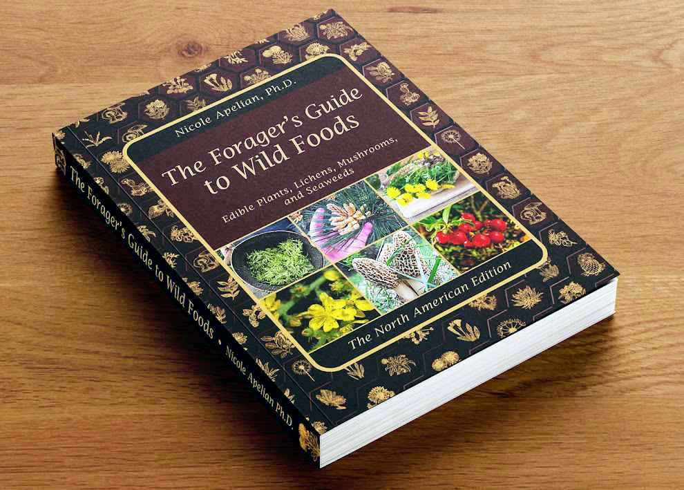 The Forager's Guide to Wild Foods