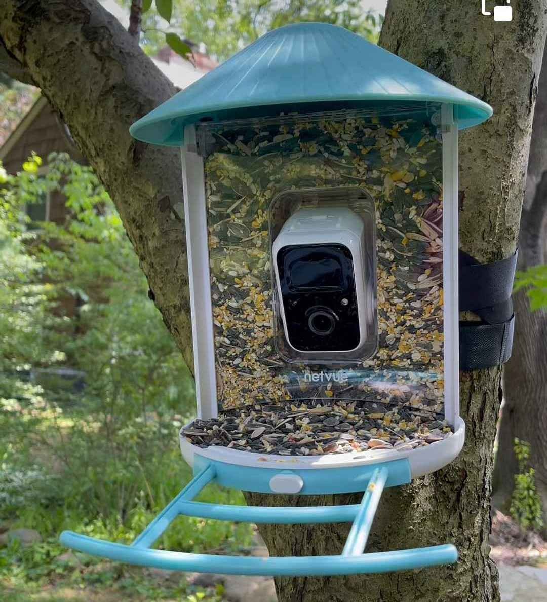 Netvue Birdfy Feeder Cam | Smart AI Bird Feeder Camera