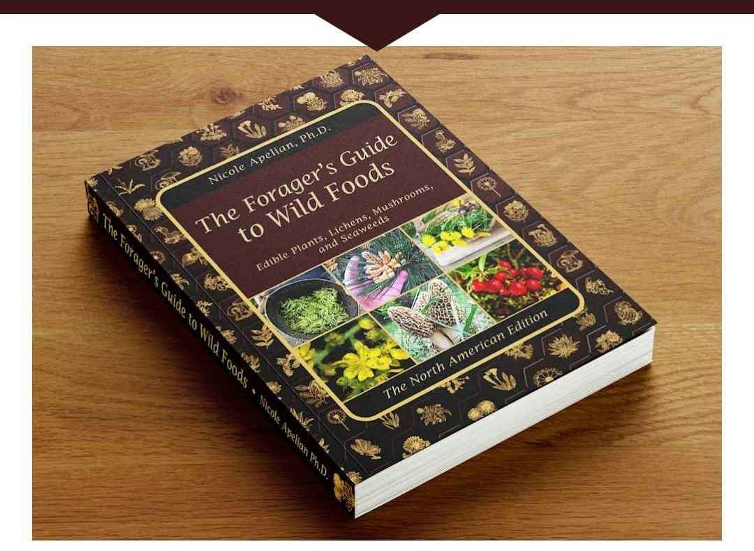The Forager's Guide to Wild Foods