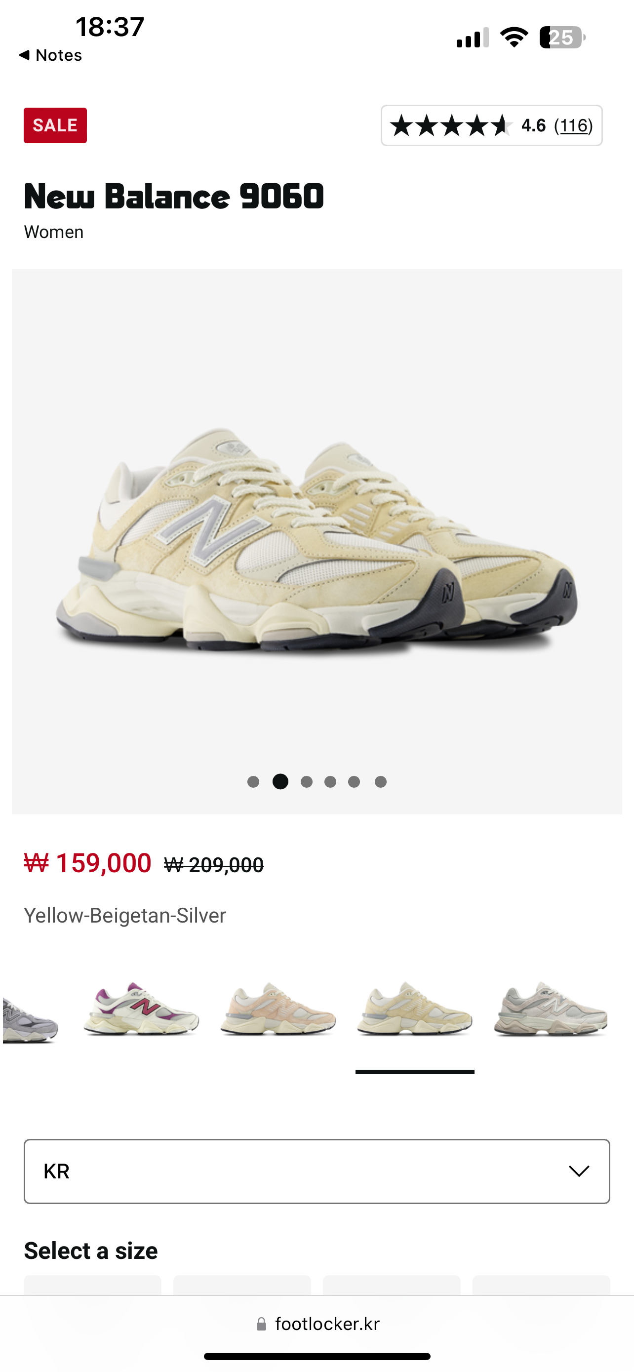 뉴발란스 9060