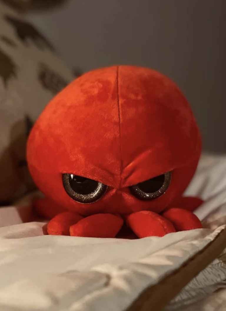 Grumpy Baby Octopus