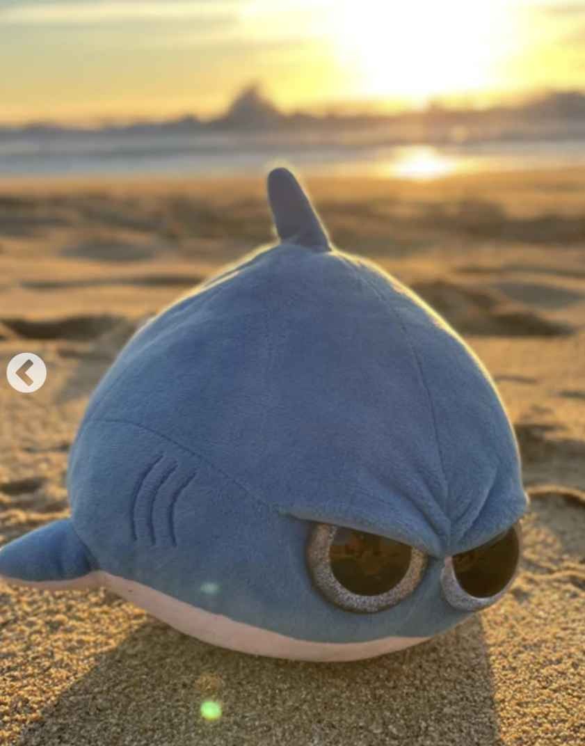 Grumpy Shark - Cute Super Soft Plush Stuffed Animal Toy (Angry Glitter Eyes) - Large 12 Inch - Unique Funny Gift for Kids and Adults