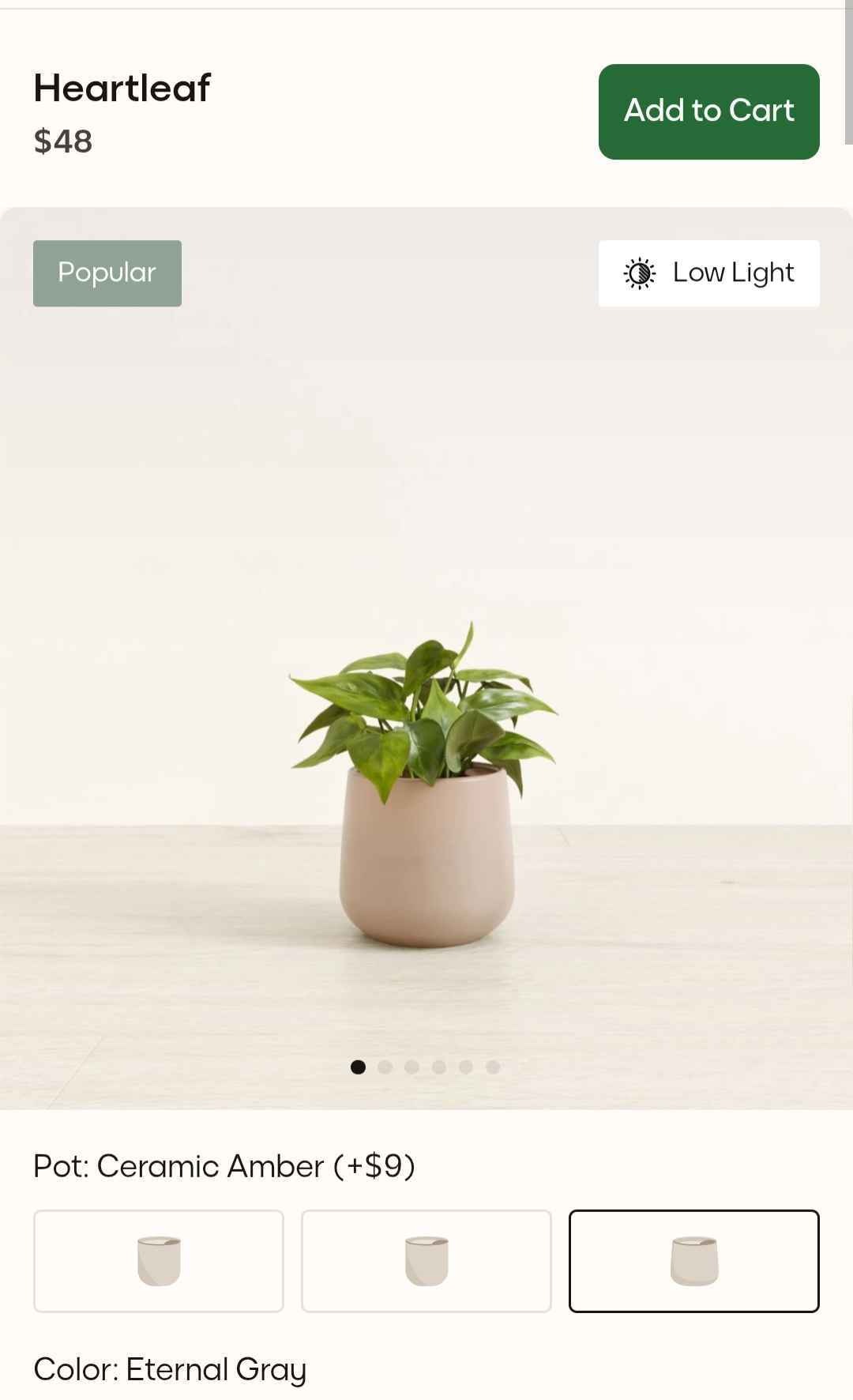 Heartleaf