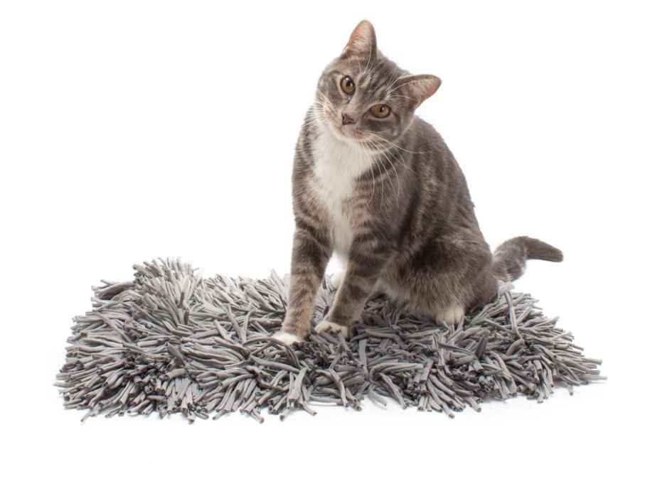 Snuffle Mat For Cats