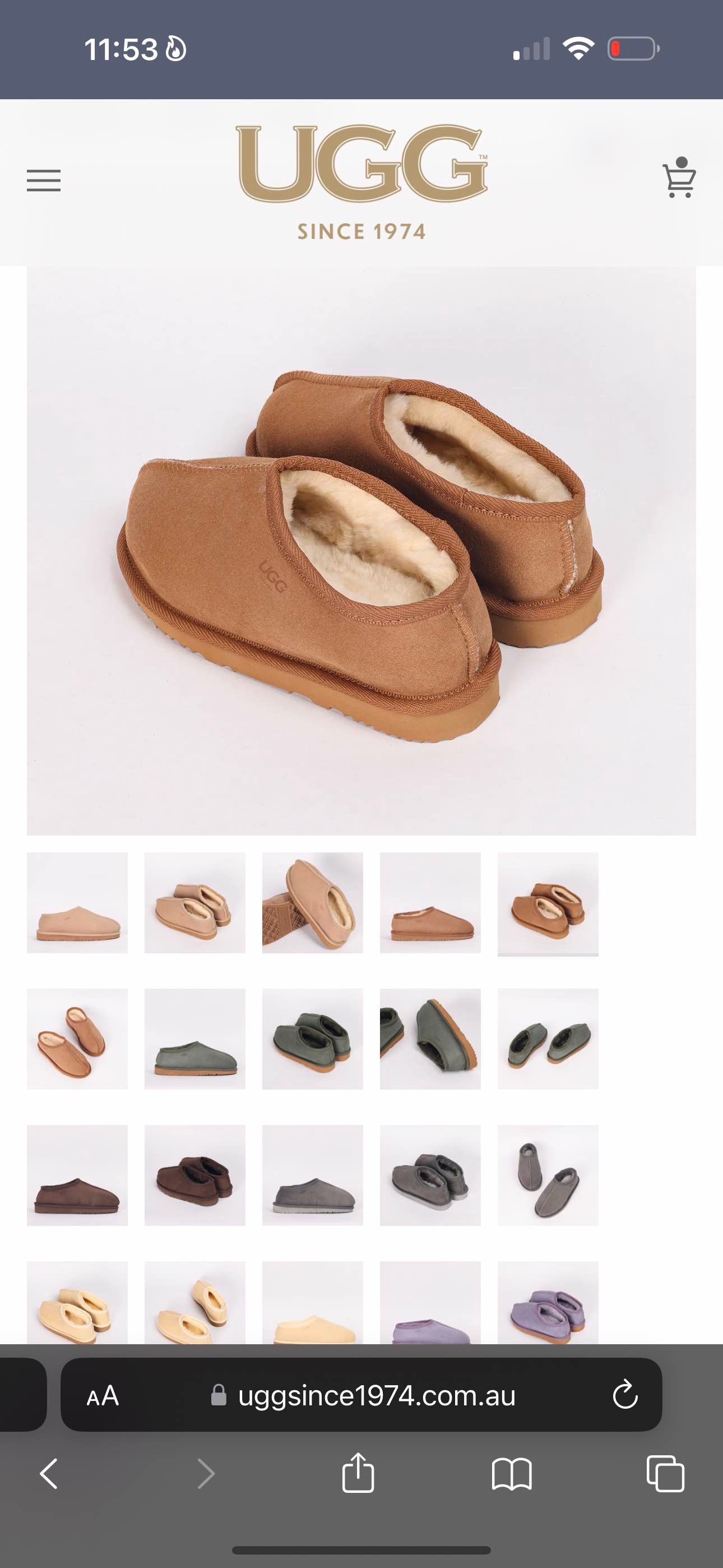 Women's Taryn Slipper CHESTNUT