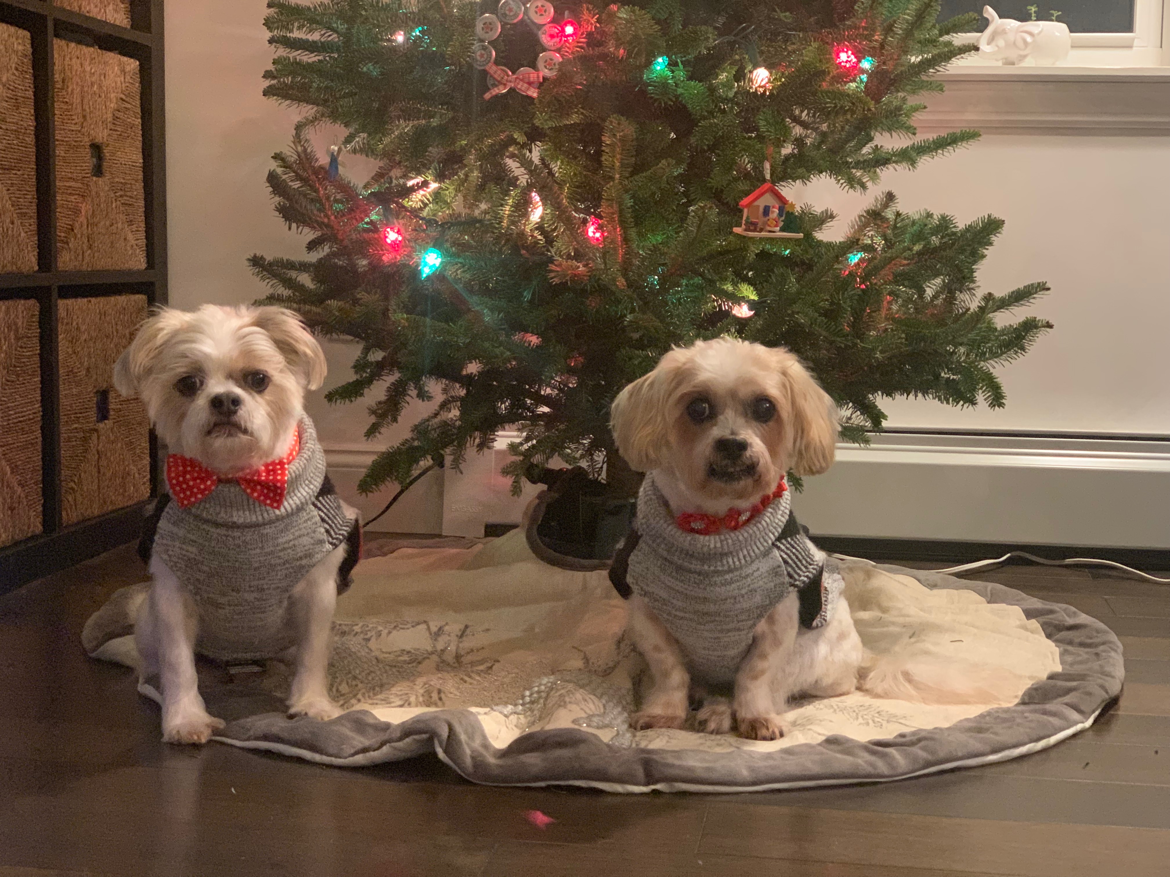 Nala & JC