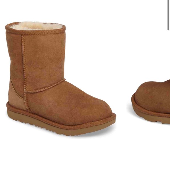 Bella Chestnut  Uggs