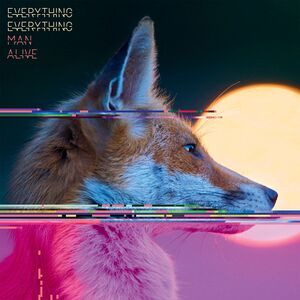 Man Alive - Everything Everything Vinyl
