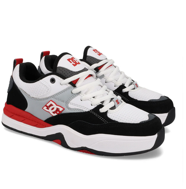 DC Ascend Skate Shoes