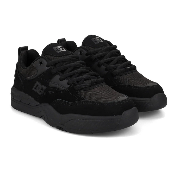 DC Ascend Skate Shoes