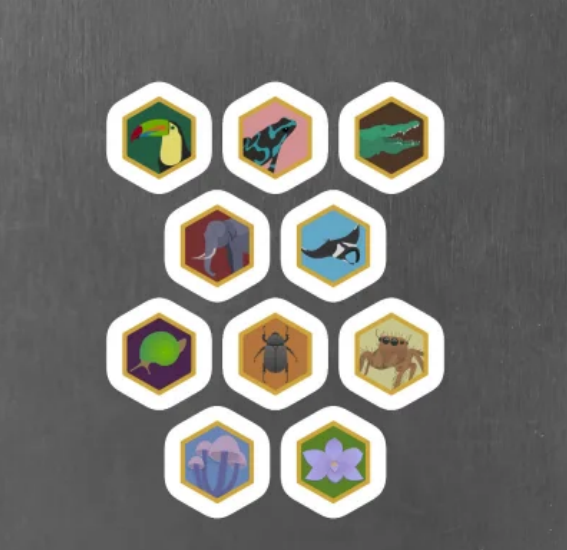 iNaturalist Seek Species Badge Magnets