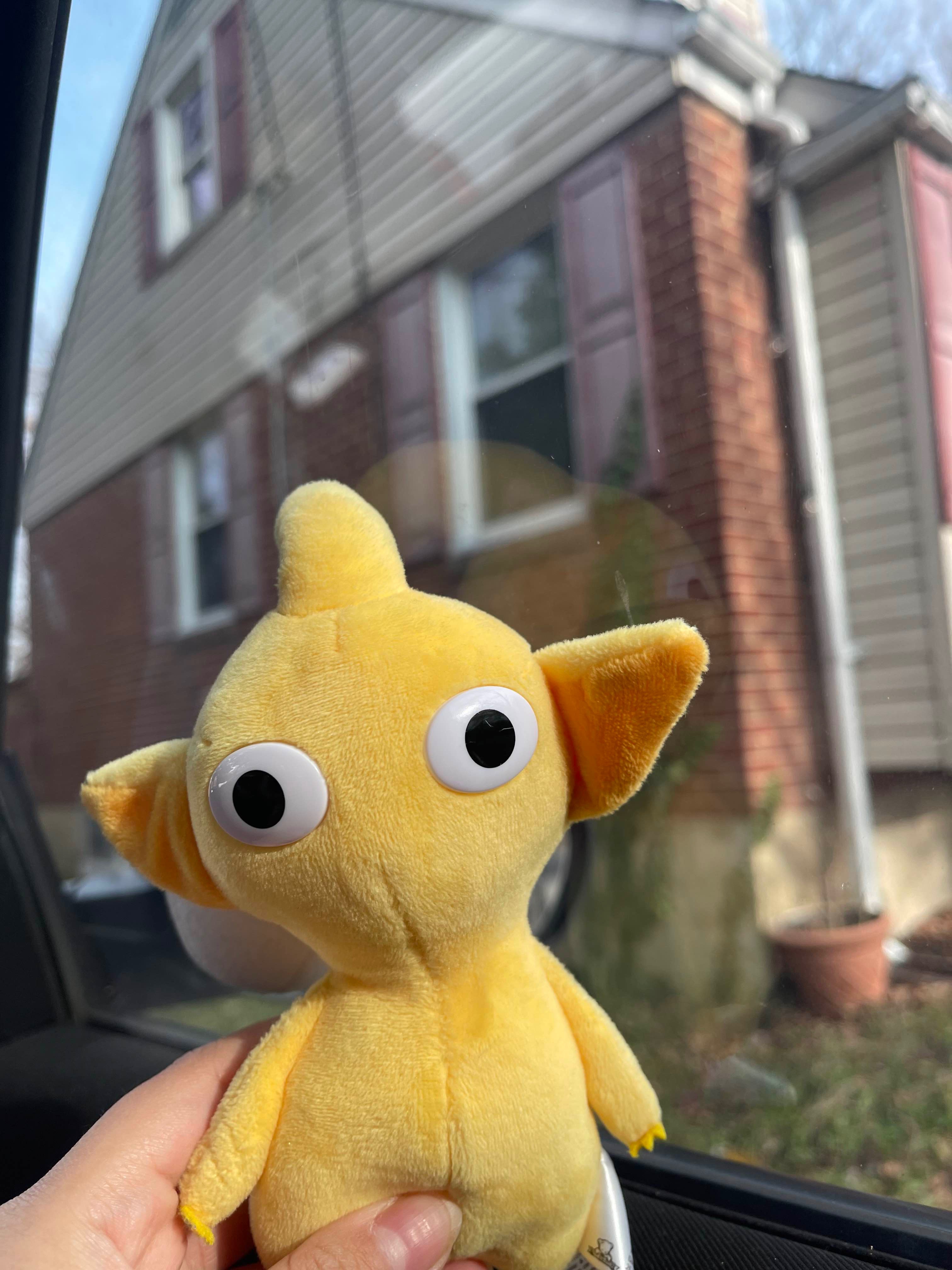 beeshuus
