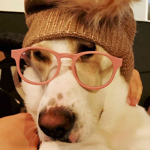 bodhicocogirl
