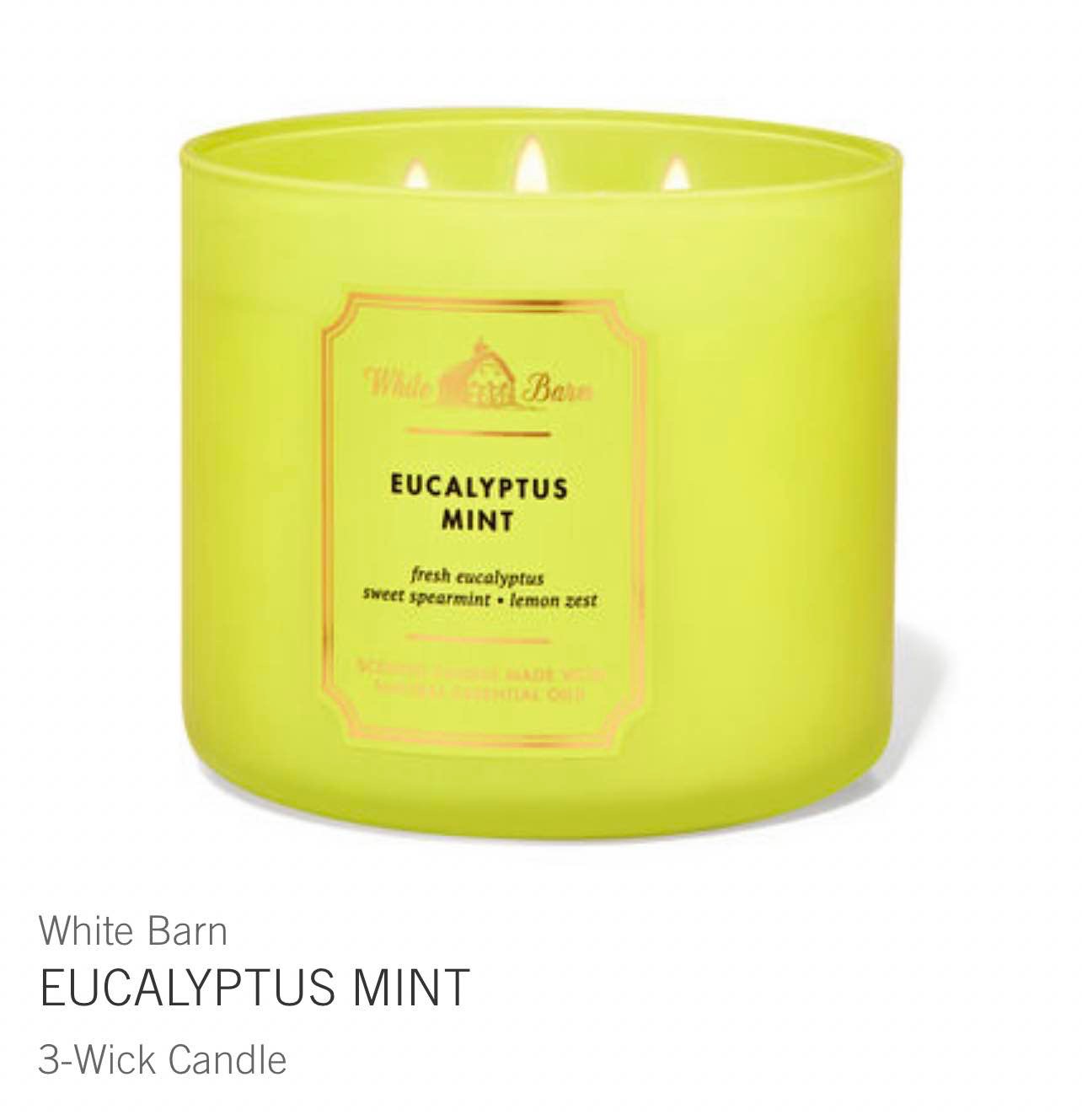 White Barn Eucalyptus Mint 3-Wick Candle