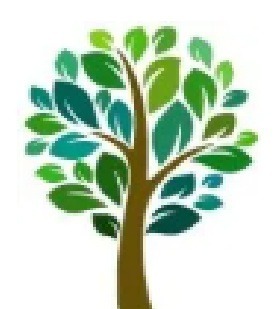 Camerons Tree Services