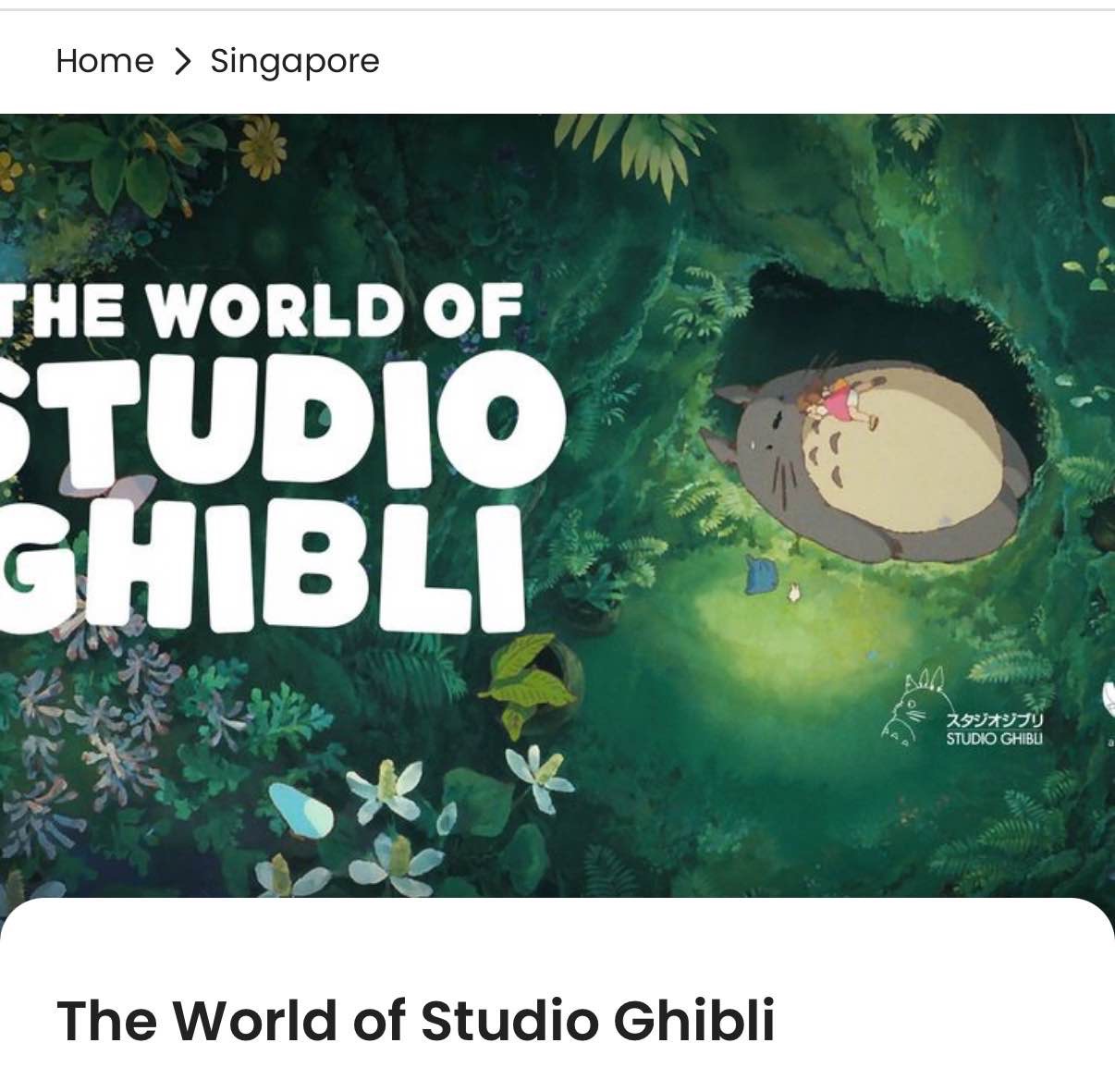 studio ghlibi day out
