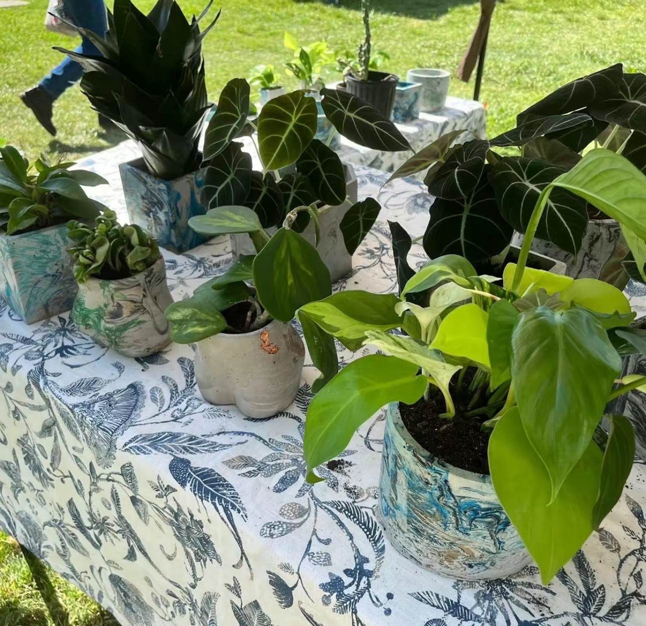 2in Indoor Plant Box