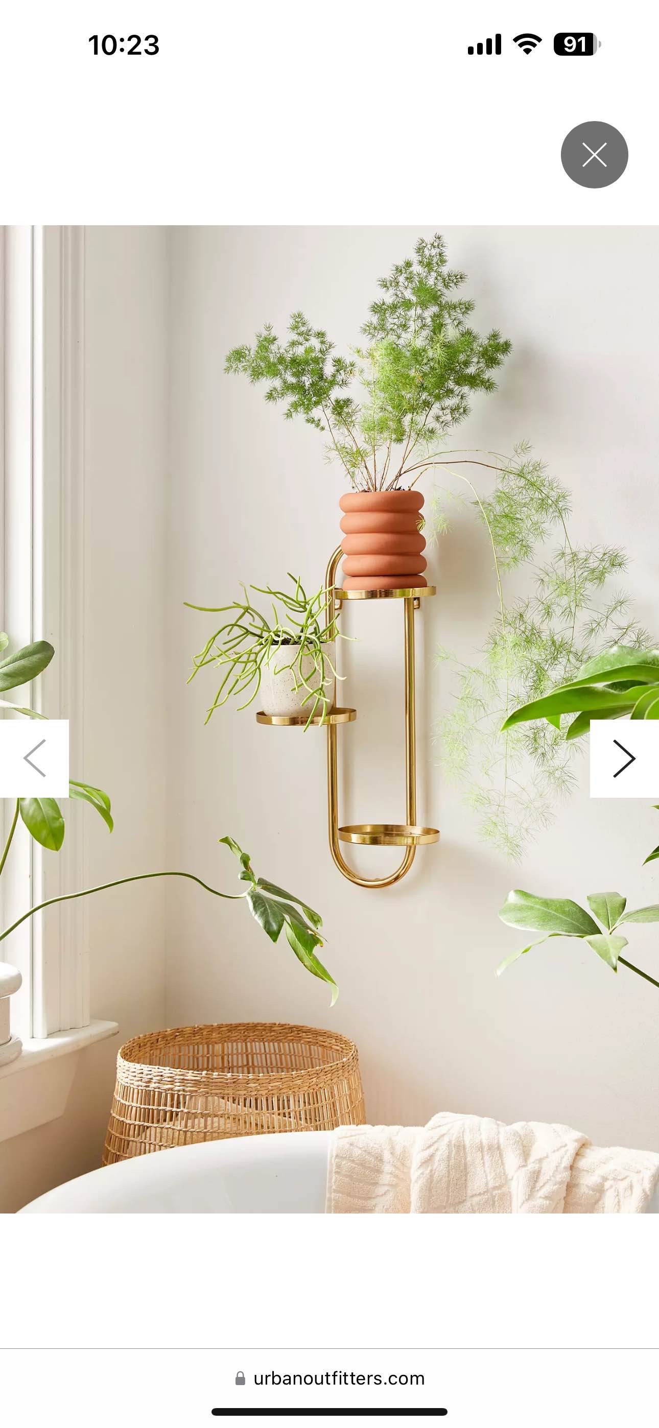 Wall Mounted Plant Stand
