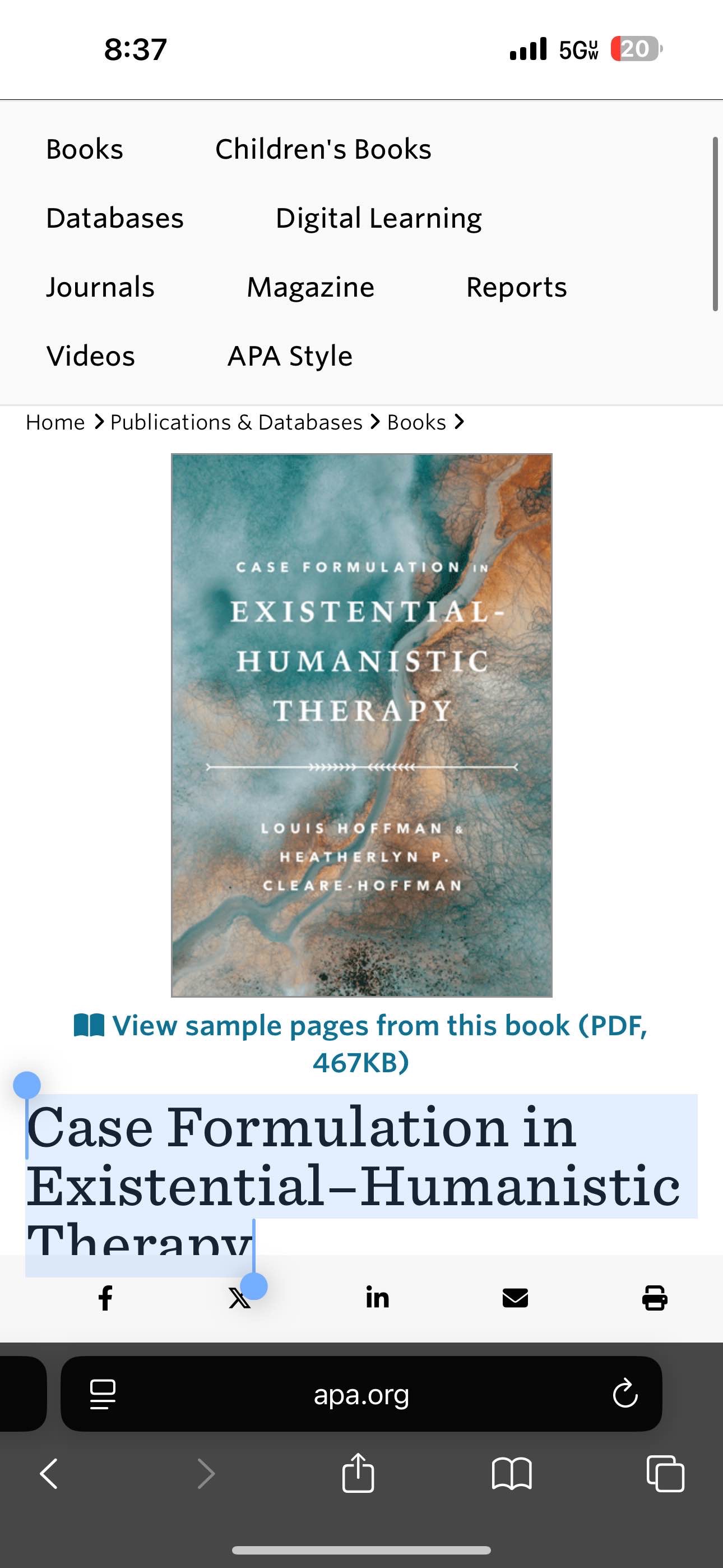 Case Formulation in Existential–Humanistic Therapy