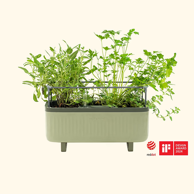 EZ Self-Watering Herb Planter Box with Trellis