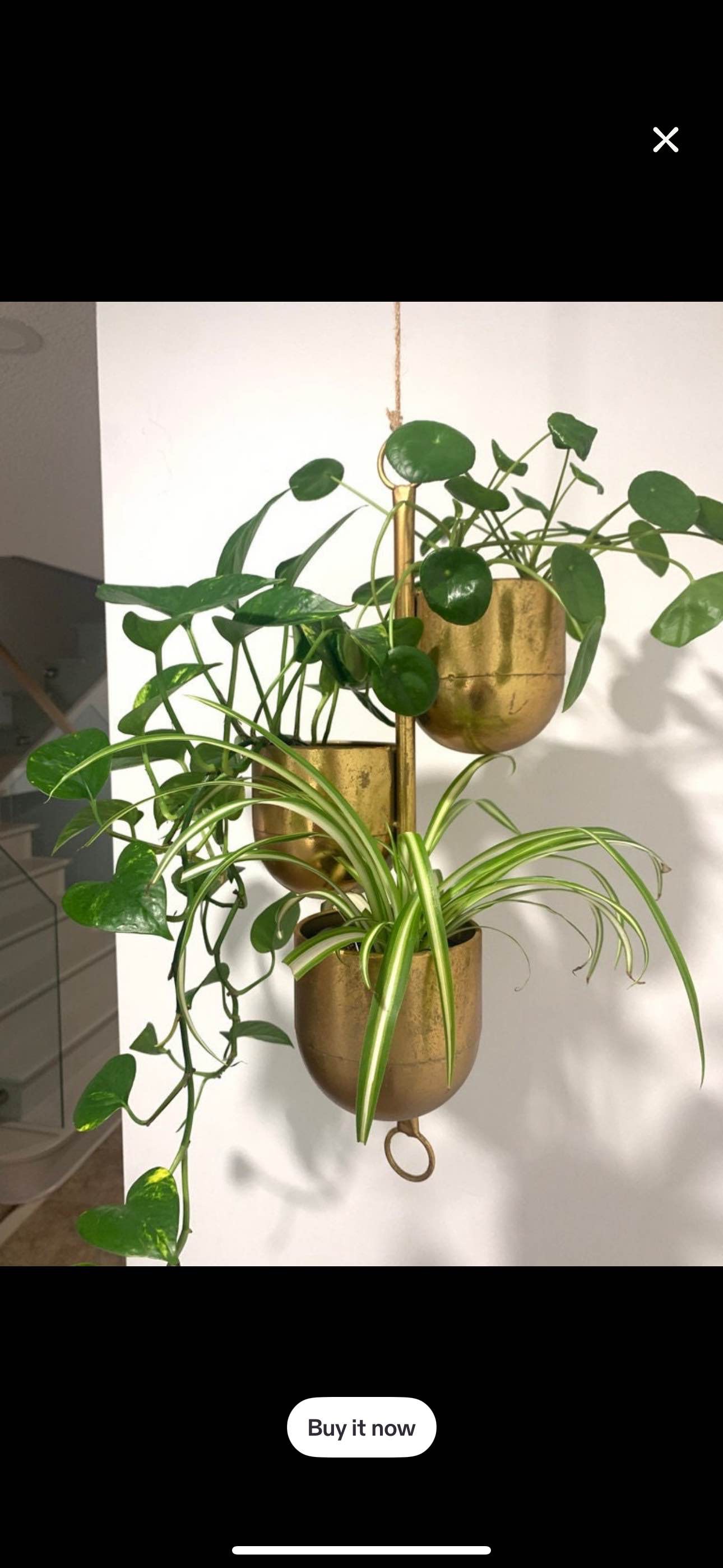 Hanging pot