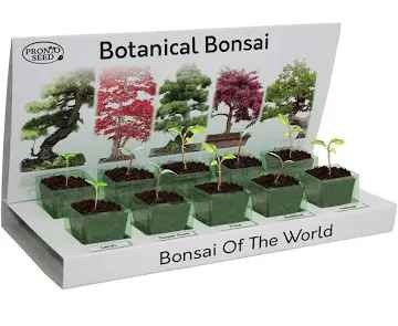 Grow your own bonsai