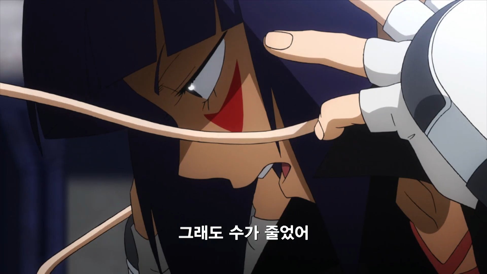 cicadachi