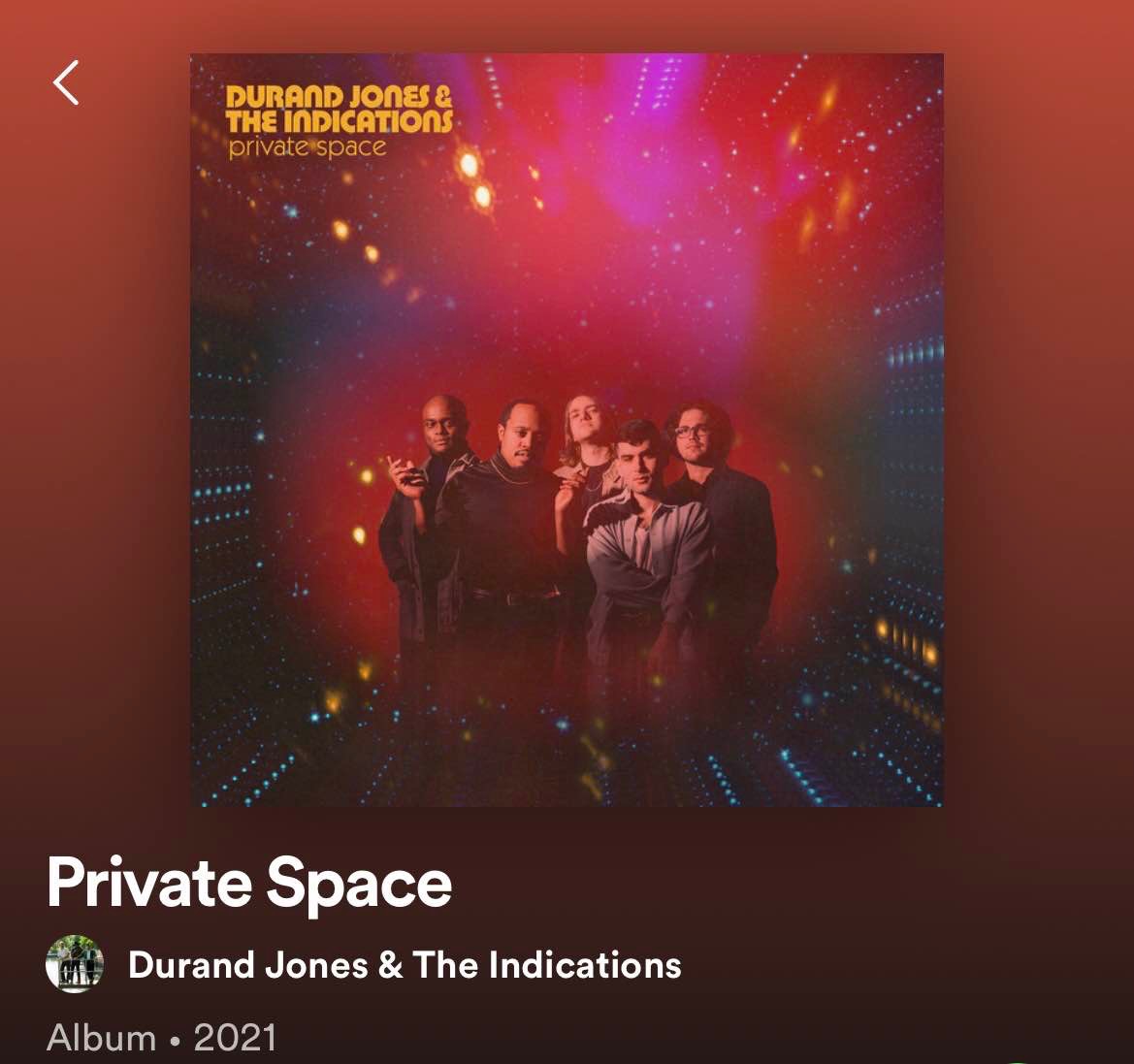 vinyl record: private space - Durand jones and the indications