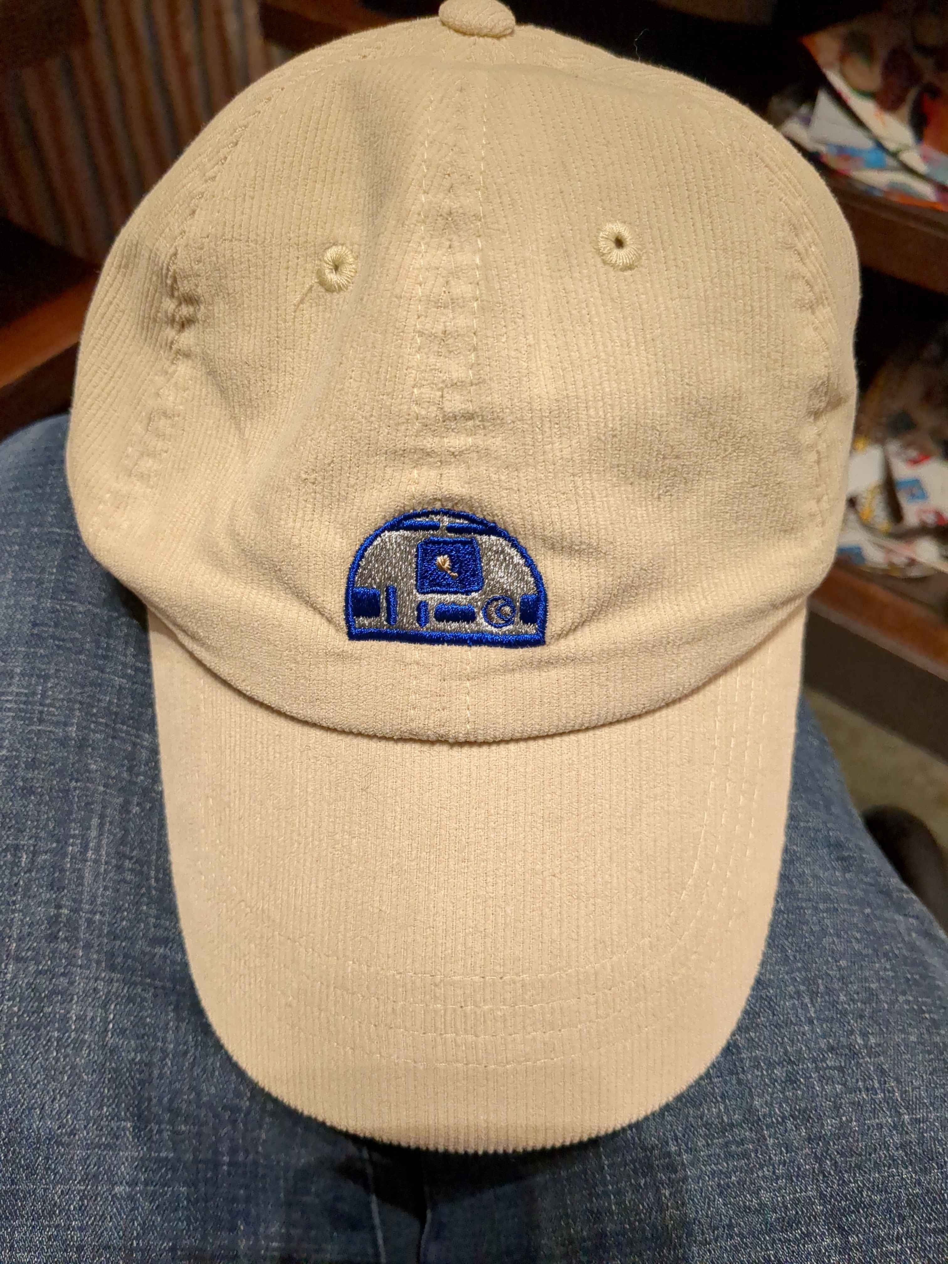 R2D2 Hat