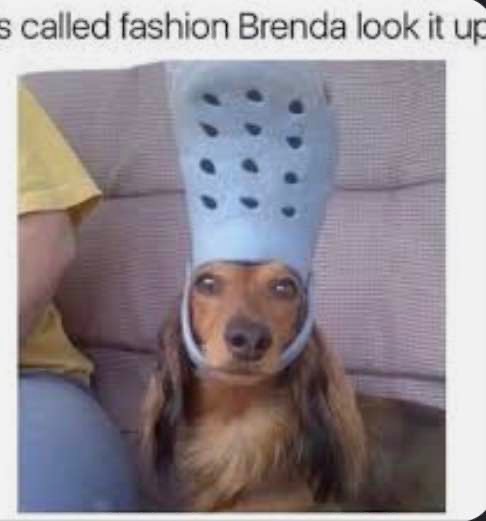dog_Rulz13