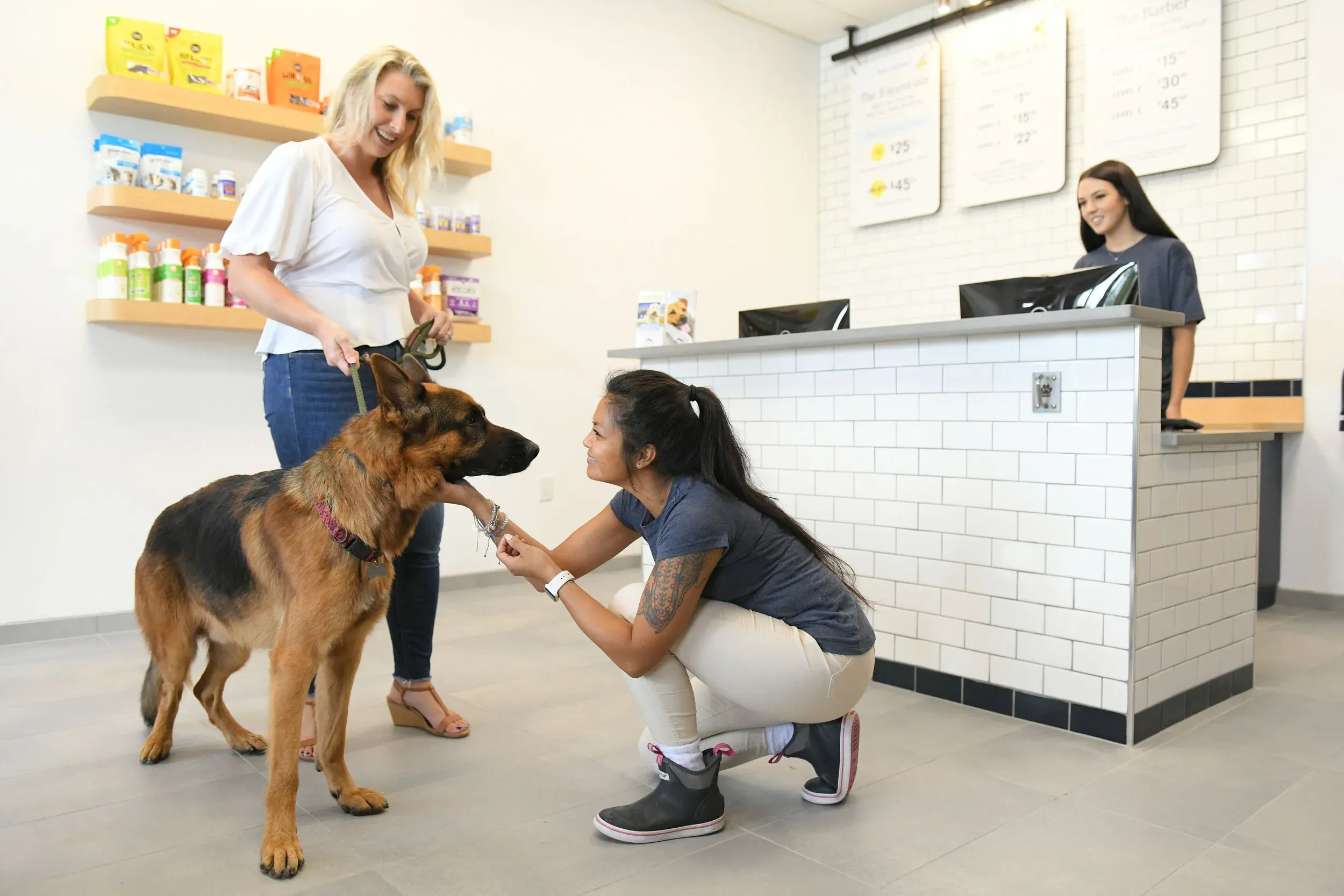Dogs Tips