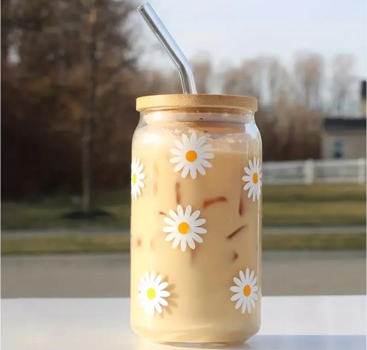 Daisy Cup 16oz Iced Coffee Cup, Cute Glass Cups with Bamboo Lids and Straws Beer Can Milk Mocha Cups Breakfast Mug Girl Women's Holiday 500ml