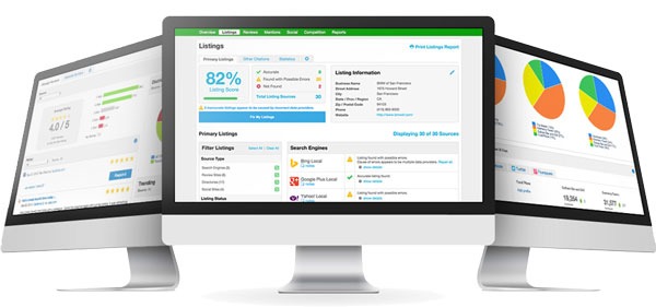 Free SEO Audit Tool: Hidden Risks Threaten Growth