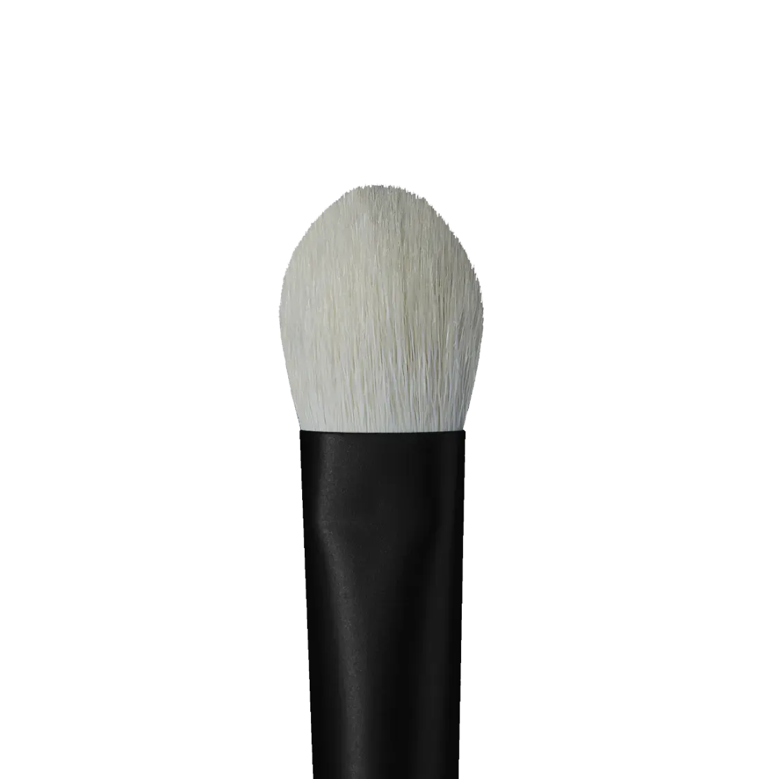rephr brush 33